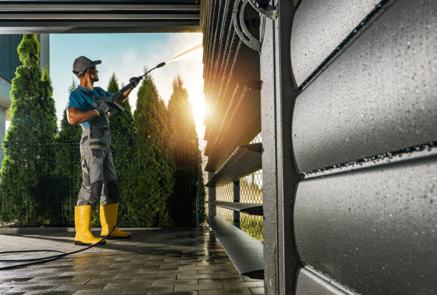 Best Solar Panel Cleaning  in Lexington, TX