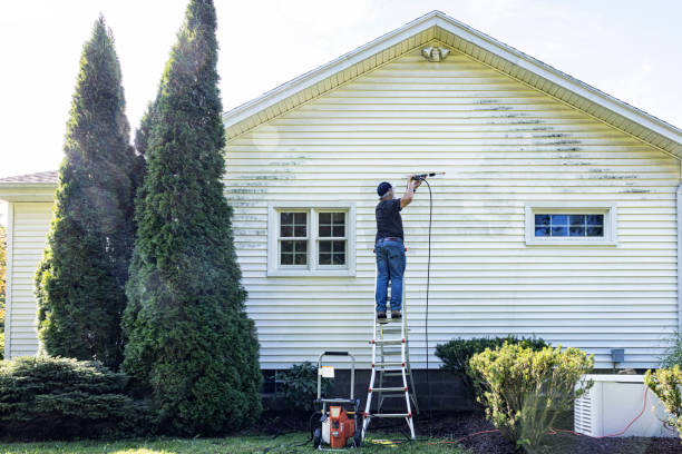 Animal Enclosure Cleaning in Lexington, TX